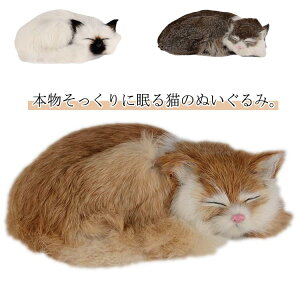 置物 ぬいぐるみ 猫 リアル 本物そっくり 寝そべり ネコちゃん ねこ ペット 動物 アニマル 癒し系 可愛い 部屋飾り 猫のぬいぐる