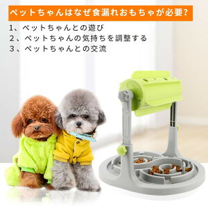  koP Hh m[Y[N Lp HRH ]  t[h{E ˂ aߋ  @Â܂