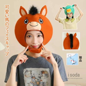  ϑ ObY  ߑ 蕨  Lbv z[X nEB RXv 킢 Xq nԂ   n