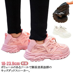 [Jbg jOV[Y   ^C  _bhXj[J[ bV LbY w Xj[J[ Xj[J[ ʊwC