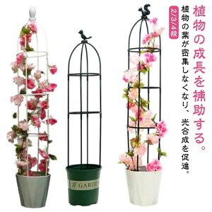 |pi Ԏx x ȒP x  op ߉\ ȈՑg o IxXNA[` IxXN 鐫A 