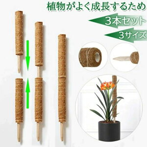 |gX RRXeBbN  |x  Ԃ 3{Zbg A  K[f RRibc  Ax Xe x