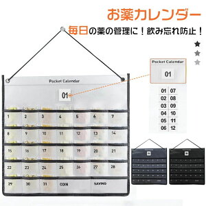 カレンダーポケット ウォールポケット お薬カレンダー 1ヶ月 壁掛けポケット 壁掛け収納 小物収納 多目的ポケット カードサイズ