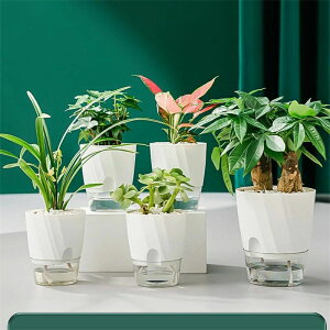 植木鉢 自己給水 プランター ポット プラスチック製 水耕栽培 観葉植物 底面給水 現代風 装飾 家庭植物 多肉 花植物 ハーブ サボ