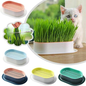 容器 3pcs 猫草栽培鉢皿 鉢台 鉢植え台 猫草プランター 植物シャーレ プラスチックキャットニップ猫草ボックス 自己散水植