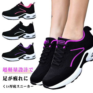 ₷ GANbV Xj[J[ bV j EH[LOV[Y C  fB[X _CGbgXj[J[