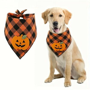 o_i  ͗l ybgp U ߂ S ȒP  XJ[t nEB { ڂ L ANZT[ 