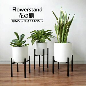 40cm t[X^h Lk a24-36cm܂őΉ X^h pr A  ϗtA ACA  S u |bg