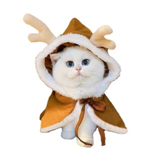 L T^N[X h ߑ  ~ RX`[ p[eB[  }g g S) (uE NX}X ̊p