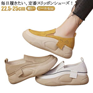 C RtH[gV[Y Xj[J[ Xb| O q[4cm Xj[J[  fB[X  Xb| ʋC