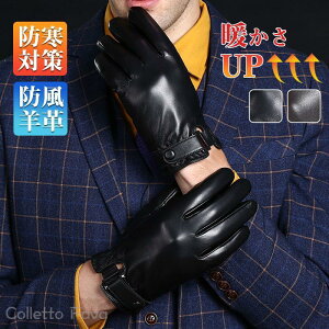 St rv fB[X O[u Ɨp h h {v XL[  Y  Ԃ ] oCN ~ jOp