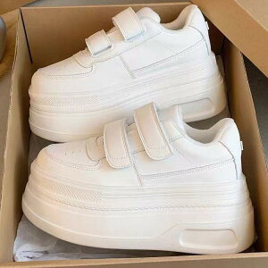  Xj[J[  Sc ؍n Xj[J[ F n 8cm nCq[ tbg zCgR[f RȂ }WbNe[