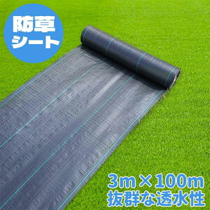 悯V[g ʐ 3m×100m _ |p x  Gh~ V[g hV[g _pV[g ϋv GV[g 