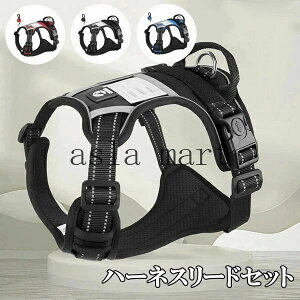 \tg n[lX ^ o pn[lX hbO Ȃ Ck n[lX[hZbg  3color h~  Up