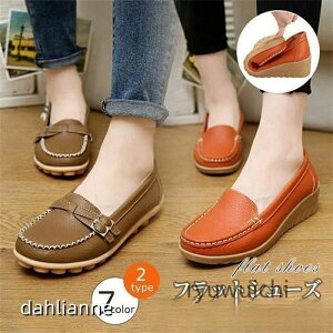 V[Y Vv [t@[ ʋ C t JWA ɂ fB[X H JV pvX Mtg ItBX {v