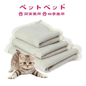 nbN ˂ ӂӂ  ~p Lbg Lp {A Lx ybgxbh   LbgnbN P[Wp