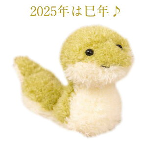 v VN  N }XRbg wr ߘa7N ւ   xLbg Mtg 2025N u ʂ  28cm  N