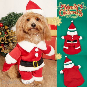 ~ L NX}X Xqt ybg RX`[ T^  ߑ h RXv 2_Zbg ˂ hbOEFA  ̕