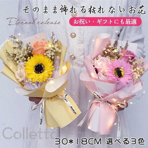 \[vt[ u[P j ͂Ȃ J[l[V ԑ Ђ܂ j  Ό̂ ʉ ̓ o^C