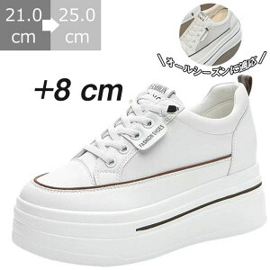 y EH[LOV[Y [Jbg y gAbv C Cq[ bV fB[X Xj[J[ 8cm 6cmq[