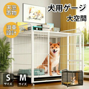  nEX T[N Q[W P[W ybgP[W ybg ^ ^ ybgT[N  t P[W 