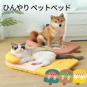 􂦂 ėp LECt xbh ybg L ybgxbh   2WAY XCJ }bg \t@ ӂӂ Ђ  킢