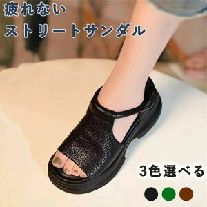 Ȃ xNfUC ~ 5cm 4E ̌  I[vgDEFbW\[T_ r fB[X [}