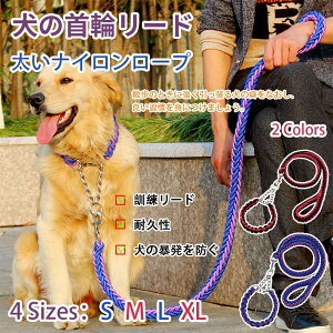 pU[h ϊ P[h ǂKgɂ܂傤 [h y 1.3M ϋv Ȃ𒼂