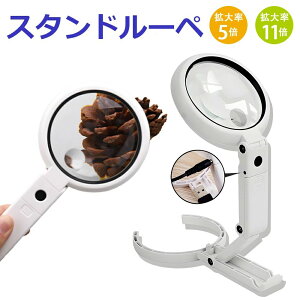 5{ { Ǐ hV̓ X^h LEDCgt [y 蕨 Mtg  莝[y ዾ V 11{ v[g Ǐp