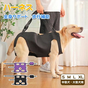 ^ ⏕ V Ȃ s⏕n[lX s aC K n[lX n[lX ^ ߂łoh  I p 