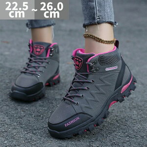 h y X|[cV[Y fB[X gbLOV[Y Y Y n oRC oRC ~