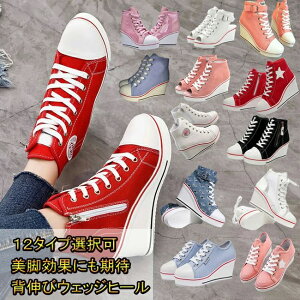 8cmq[ 傫TCY V[Y Cq[ g fB[X LoX JWA Xj[J[ EFbW\[