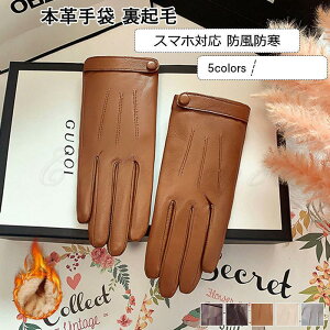 ꂢ {v X}zΉ N U[   5{w fB[X nhEH[}[ {At hh  n