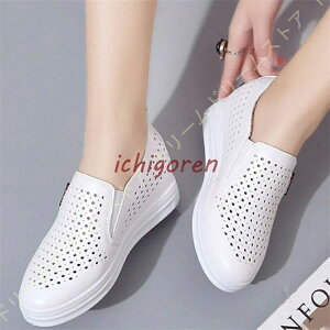  Xj[J[ Xj[J[ V[Nbg V[Y TChSA Xj[J[ fB[X R V[Y Cq[ 