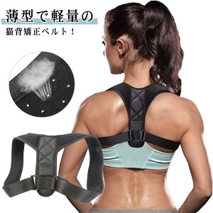 LwT pT|[^[  w؋xg fB[X pxg p pxg Lw Lwxg Lwxg