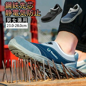 SXj[J[ fB[X Ȃ Y SC ZteB[V[Y  [Nu[c ܐK[h ƌC c