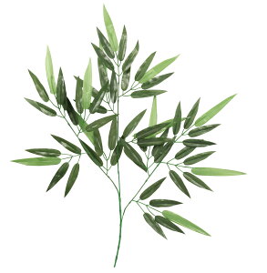 [p  5{ vX`bN 莝TCY ctEۈ牀m狳 