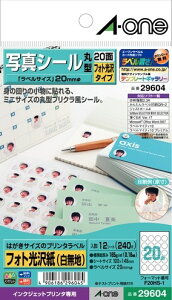 G[ 29604 ͂TCỸv^x ʐ^V[ 20 tHg12V[g 