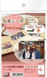 G[ 29629 ʐ^V[ Extra-Large tHg 5V[g 