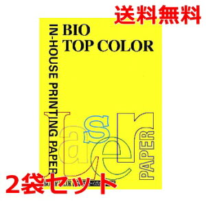 伊東屋 バイオトップカラー 80g A4 BT112 カナリーイエロー 100枚×2 モンディ