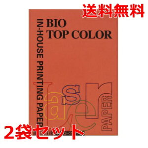 ɓ oCIgbvJ[ 80g A4 BT119 ubNbh 100×2 fB