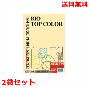 ɓ oCIgbvJ[ 120g A4 BT301 N[ 50×2 fB