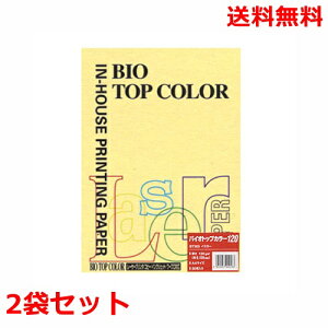 ɓ oCIgbvJ[ 120g A4 BT303 CG[ 50×2 fB