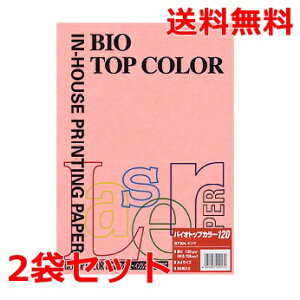 ɓ oCIgbvJ[ 120g A4 BT304 sN 50×2 fB