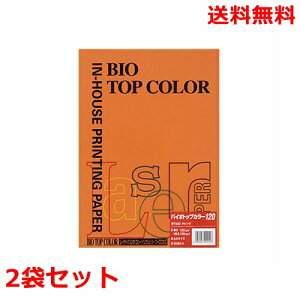 ɓ oCIgbvJ[ 120g A4 BT333 IW 50×2 fB