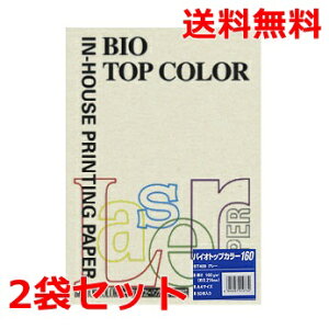 ɓ oCIgbvJ[ 160g A4 BT409 O[ 50×2 fB