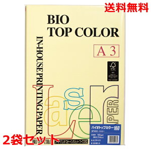 ɓ oCIgbvJ[ 160g A3 BT453 CG[ 50×2 fB