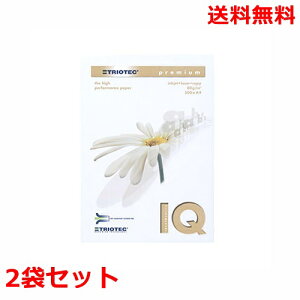 ɓ oCIgbvJ[ 80g A4 BT500 zCg 500×2 fB