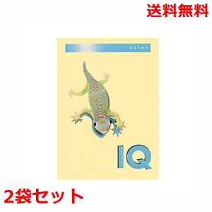 ɓ oCIgbvJ[ 80g A4 BT501 N[ 500×2 fB