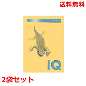 ɓ oCIgbvJ[ 80g A4 BT502 S[h 500×2 fB